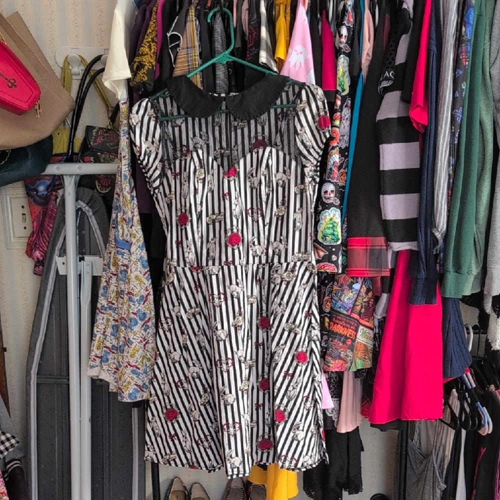 Striped Dress with Red Floral Accents - Picture 2 of 6